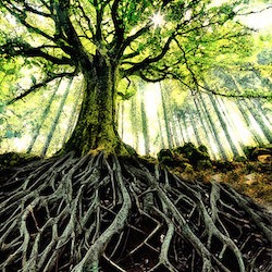 Collage by Doug Van Houten